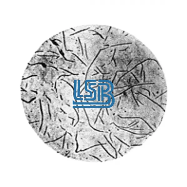 Phân biệt hóa, lý của gang cầu, gang xám